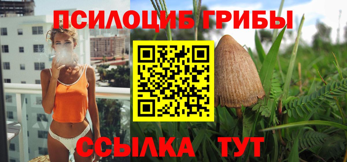 Псилоцибиновые грибы GOLDEN TEACHER  Вход с VPN  купить закладку  Зеленокумск 